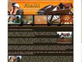 Detalii : Case lemn - constructii din lemn