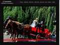 Detalii : Filmari si fotografii nunta