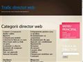 Trafic director web