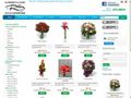 Detalii : Florarie online in Bucuresti si Ilfov: flori, cadouri, buchete, aranjamente florale, buchete flori