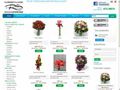 Florarie online in Bucuresti si Ilfov: flori, cadouri, buchete, aranjamente florale, buchete flori