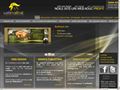 Web Design Agency - WebMagnat