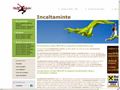 Detalii : Incaltaminte outdoor
