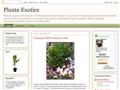 Detalii : Plante Exotice