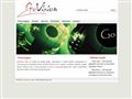 Govision site oficial
