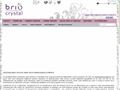 Detalii : Magazin online cu margele si bijuterii fantezie - Brio Collection