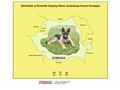 Detalii : Ermelleki Szepseg nemet juhaszkutya Kennel honlapja, canisa de ciobanesc german