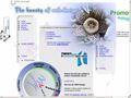Detalii : WEB Design Bucuresti Twist International
