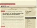 Covoare moderne online