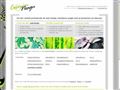 Detalii : Web Design, realizare site-uri web, design pagini