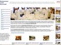 Detalii : Restaurante nunta Bucuresti
