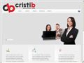 Detalii : CristiB Web Design in Constanta
