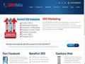 Detalii : Servicii Optimizare SEO - Promovare Site | SEOBliz
