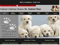 NatiVet - Cabinet Veterinar Brasov - Dr. Gabriel Stan