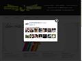 Detalii : Director WEB - promovariONLINE - promovare, realizare, mentenanta