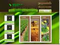 Detalii : seminte de legume profesionale