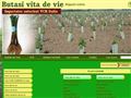 Detalii : Butasi vita de vie