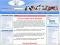 Detalii : BlueVet - Clinica Veterinara