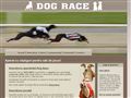Detalii : Dog Race. Curse de caini. Jocuri de noroc