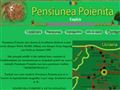Detalii : Pensiunea Poienita - Cazare Budesti , Maramures , Romania