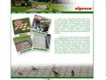Detalii : Pavaj - Sistem pavaj din beton