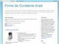 Curatenie Arad