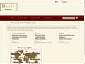 Detalii : Diolt web marketing - SEO Services