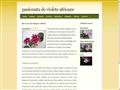 Detalii : ~ Violete africane ~ 100% informatie verificata si